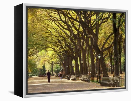 People Walking Through Central Park in Autumn, NYC-Walter Bibikow-Framed Premier Image Canvas