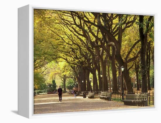 People Walking Through Central Park in Autumn, NYC-Walter Bibikow-Framed Premier Image Canvas