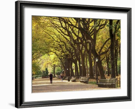 People Walking Through Central Park in Autumn, NYC-Walter Bibikow-Framed Photographic Print