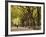 People Walking Through Central Park in Autumn, NYC-Walter Bibikow-Framed Photographic Print