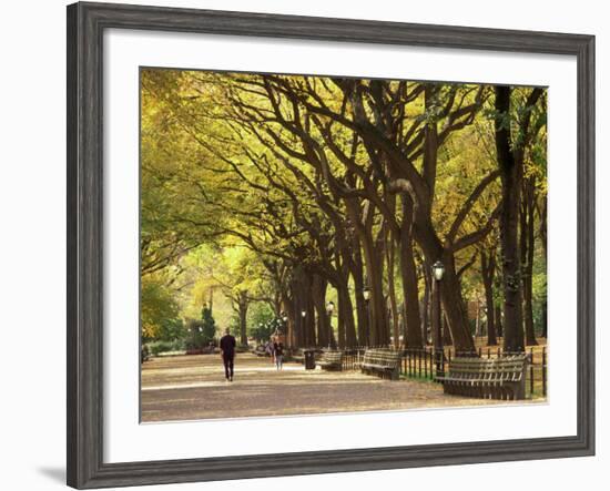 People Walking Through Central Park in Autumn, NYC-Walter Bibikow-Framed Photographic Print