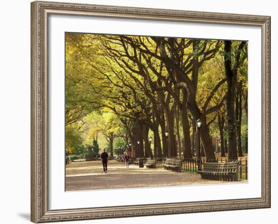 People Walking Through Central Park in Autumn, NYC-Walter Bibikow-Framed Photographic Print