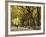 People Walking Through Central Park in Autumn, NYC-Walter Bibikow-Framed Photographic Print