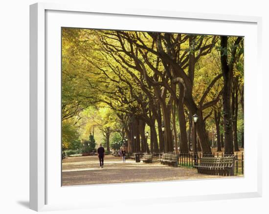 People Walking Through Central Park in Autumn, NYC-Walter Bibikow-Framed Photographic Print