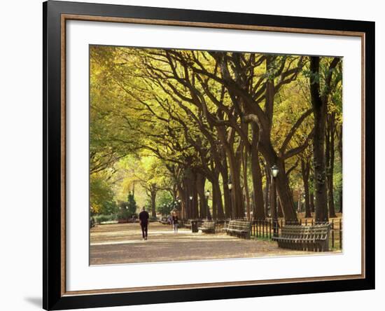 People Walking Through Central Park in Autumn, NYC-Walter Bibikow-Framed Photographic Print