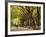 People Walking Through Central Park in Autumn, NYC-Walter Bibikow-Framed Photographic Print