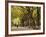 People Walking Through Central Park in Autumn, NYC-Walter Bibikow-Framed Photographic Print