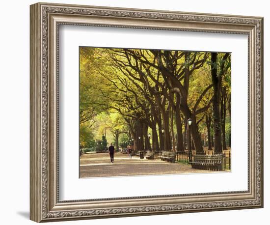 People Walking Through Central Park in Autumn, NYC-Walter Bibikow-Framed Photographic Print