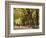 People Walking Through Central Park in Autumn, NYC-Walter Bibikow-Framed Photographic Print