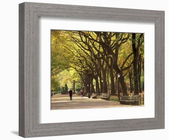 People Walking Through Central Park in Autumn, NYC-Walter Bibikow-Framed Photographic Print