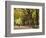 People Walking Through Central Park in Autumn, NYC-Walter Bibikow-Framed Photographic Print