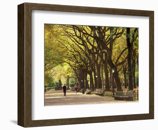 People Walking Through Central Park in Autumn, NYC-Walter Bibikow-Framed Photographic Print