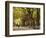 People Walking Through Central Park in Autumn, NYC-Walter Bibikow-Framed Photographic Print