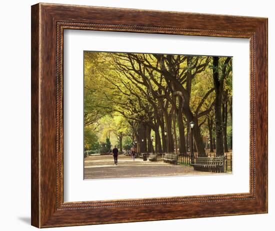 People Walking Through Central Park in Autumn, NYC-Walter Bibikow-Framed Photographic Print