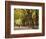 People Walking Through Central Park in Autumn, NYC-Walter Bibikow-Framed Photographic Print