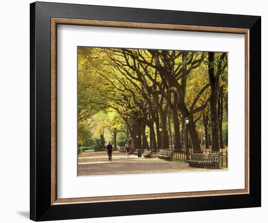 People Walking Through Central Park in Autumn, NYC-Walter Bibikow-Framed Photographic Print