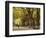 People Walking Through Central Park in Autumn, NYC-Walter Bibikow-Framed Photographic Print