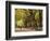 People Walking Through Central Park in Autumn, NYC-Walter Bibikow-Framed Photographic Print