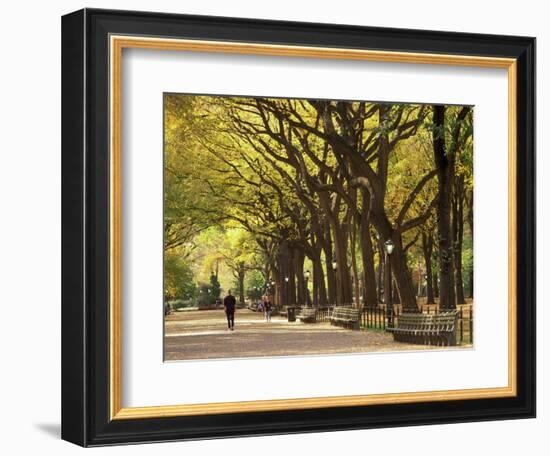 People Walking Through Central Park in Autumn, NYC-Walter Bibikow-Framed Photographic Print