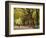 People Walking Through Central Park in Autumn, NYC-Walter Bibikow-Framed Photographic Print