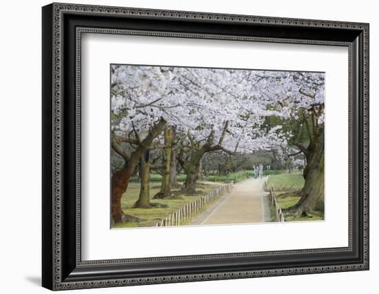 People Walking under Cherry Trees in Blossom in Koraku-En Garden-Ian Trower-Framed Photographic Print