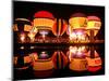 People Watch Hot Air Balloons as They Reflect off the Barigui Lake-null-Mounted Photographic Print