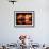 People Watch Hot Air Balloons as They Reflect off the Barigui Lake-null-Framed Photographic Print displayed on a wall