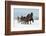 People with Horse Sledge Outdoor-geanina bechea-Framed Photographic Print