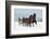 People with Horse Sledge Outdoor-geanina bechea-Framed Photographic Print