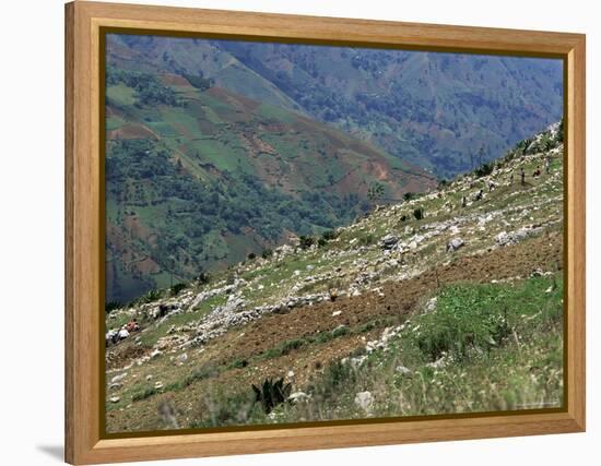 People Working in Steep Mountain Fields, at 2000M, Haiti, West Indies, Central America-Lousie Murray-Framed Premier Image Canvas