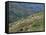 People Working in Steep Mountain Fields, at 2000M, Haiti, West Indies, Central America-Lousie Murray-Framed Premier Image Canvas