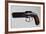 Pepperbox Pistol, Six-Barreled, Nipple Mechanism-null-Framed Giclee Print