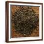 Peppermint Leaves-Steve Gadomski-Framed Photographic Print