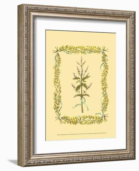 Peppermint-Wendy Russell-Framed Art Print