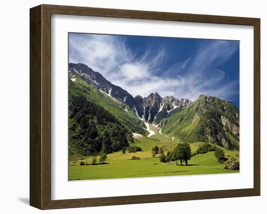 Peppermint-Philippe Sainte-Laudy-Framed Photographic Print