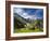 Peppermint-Philippe Sainte-Laudy-Framed Photographic Print