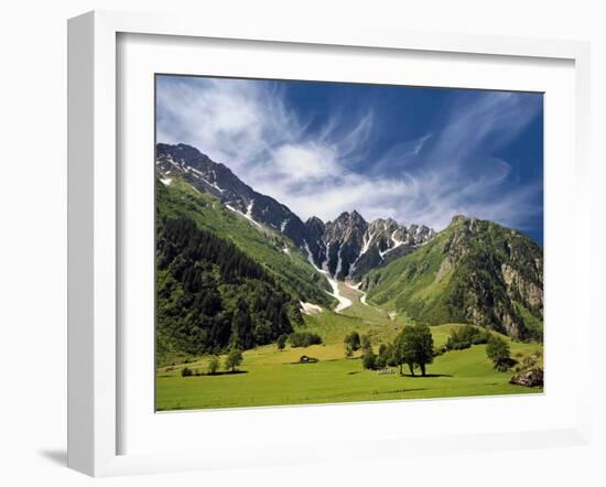 Peppermint-Philippe Sainte-Laudy-Framed Photographic Print