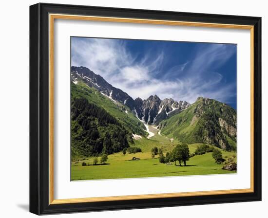 Peppermint-Philippe Sainte-Laudy-Framed Photographic Print