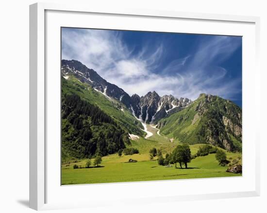 Peppermint-Philippe Sainte-Laudy-Framed Photographic Print