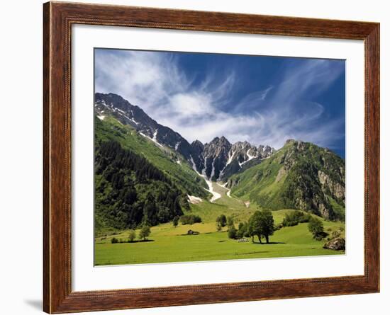 Peppermint-Philippe Sainte-Laudy-Framed Photographic Print