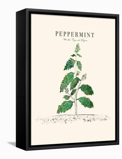 Peppermint-Cody Alice Moore-Framed Stretched Canvas