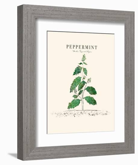 Peppermint-Cody Alice Moore-Framed Art Print