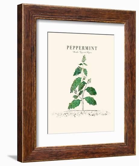 Peppermint-Cody Alice Moore-Framed Art Print