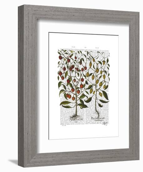 Peppers 1-Fab Funky-Framed Art Print