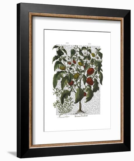 Peppers 2-Fab Funky-Framed Art Print