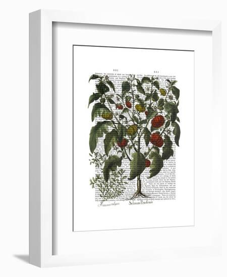 Peppers 2-Fab Funky-Framed Art Print