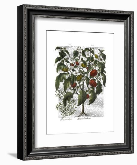 Peppers 2-Fab Funky-Framed Art Print