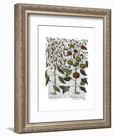 Peppers 4-Fab Funky-Framed Art Print