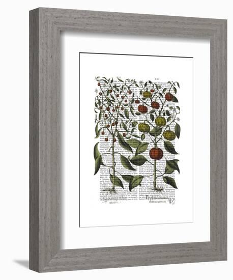 Peppers 4-Fab Funky-Framed Art Print