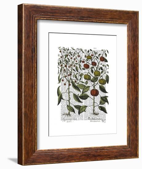 Peppers 4-Fab Funky-Framed Art Print